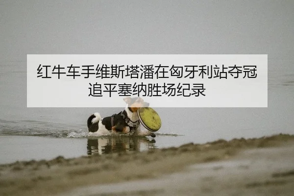 红牛车手维斯塔潘在匈牙利站夺冠 追平塞纳胜场纪录